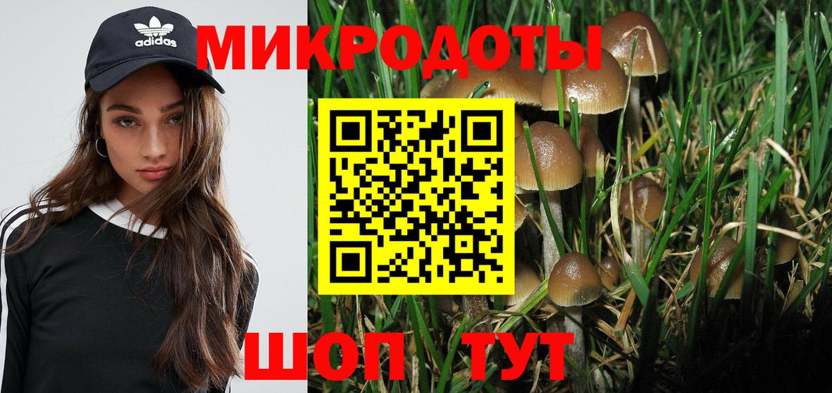 Галлюциногенные грибы мухоморы  Вход с VPN  Галлюциногенные грибы GOLDEN TEACHER  Котельники 