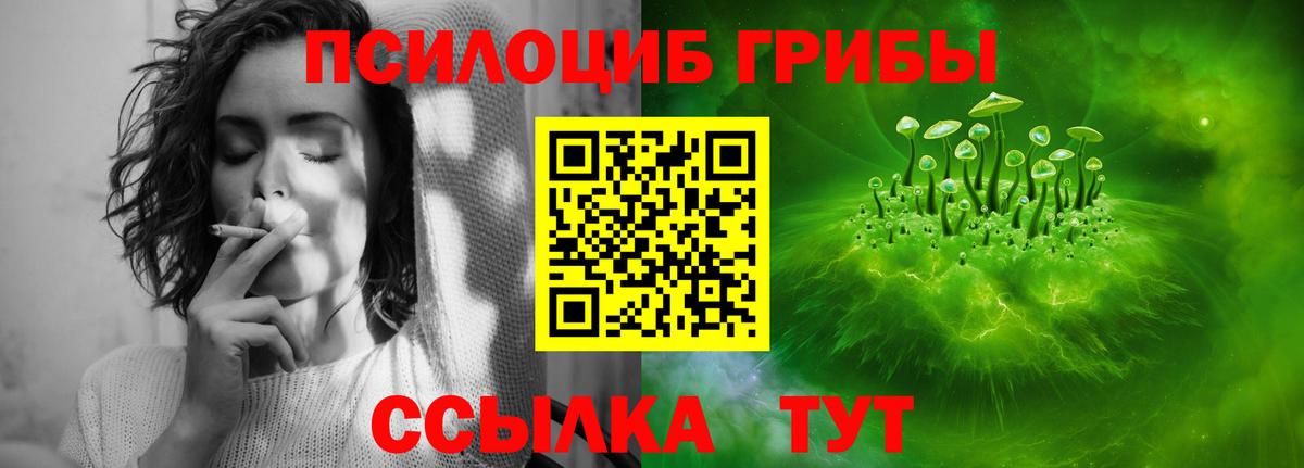 Псилоцибиновые грибы мухоморы Котельники